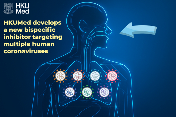 TMP1, the new bispecific inhibitor, has broad-spectrum antiviral efficacy against multiple human-pathogenic coronaviruses, including the highly pathogenic SARS-CoV-2, SARS-CoV-1 and MERS-CoV.
 